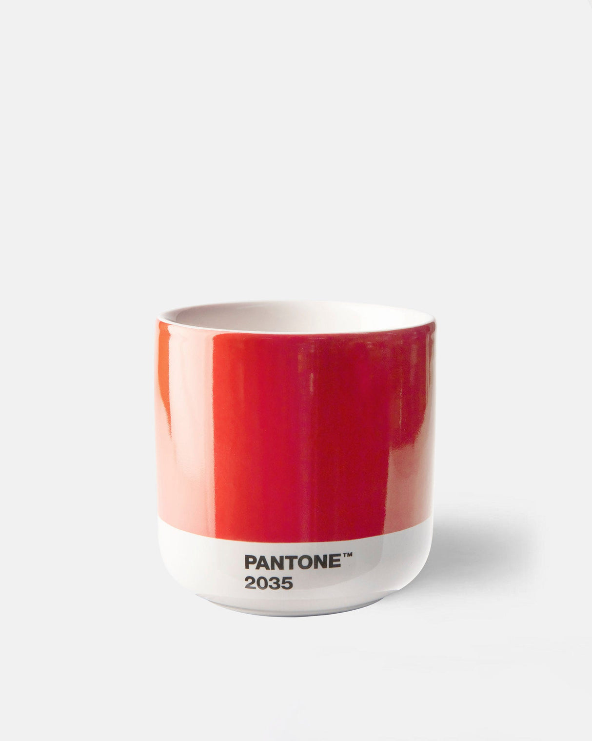 Bright Cortado Thermo Cups - Set of 4