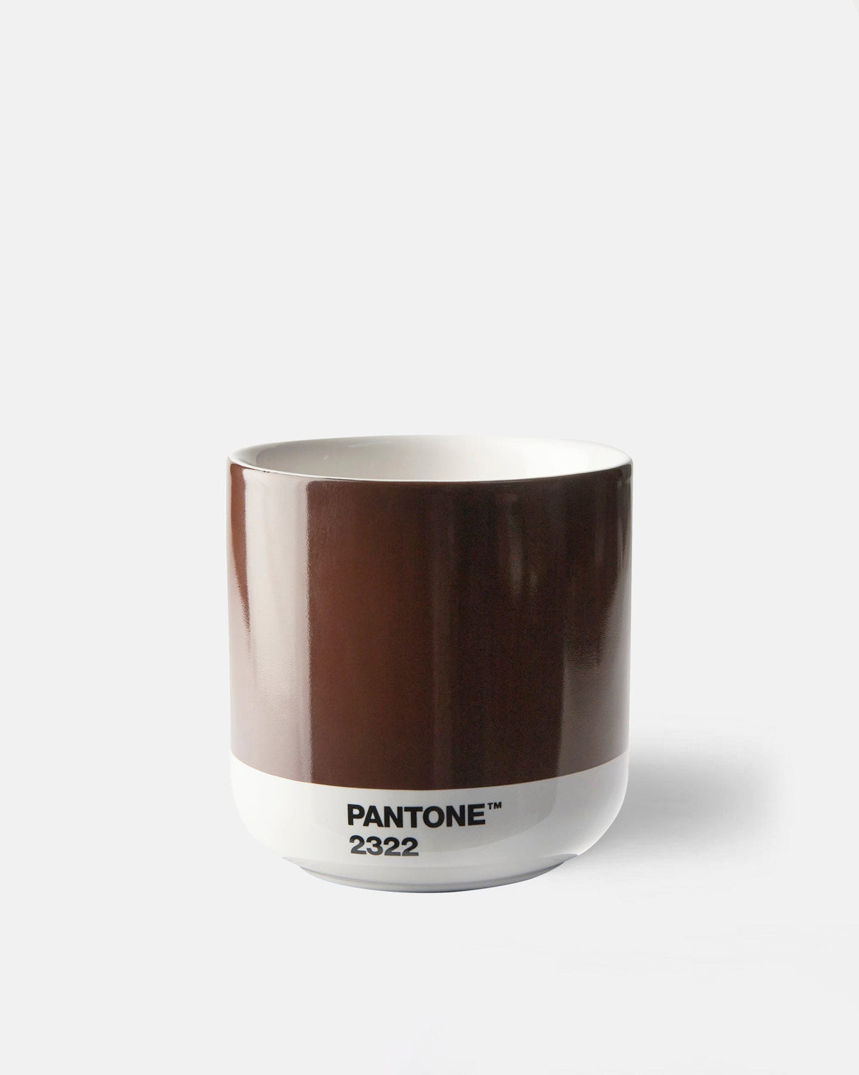 Neutral Cortado Thermo Cups - Set of 4