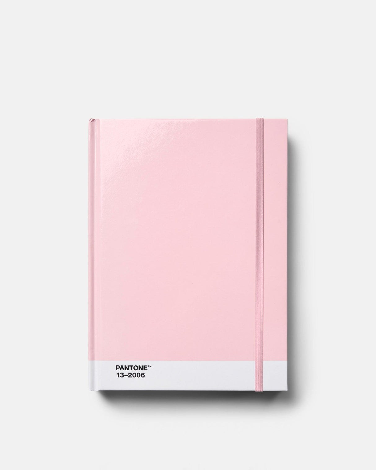 Light-Pink-13-2006-Large-Dotted-Notebook
