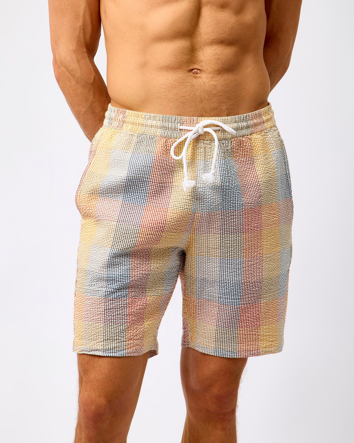 Multicolour-Check-Fig-Seersucker-Shorts