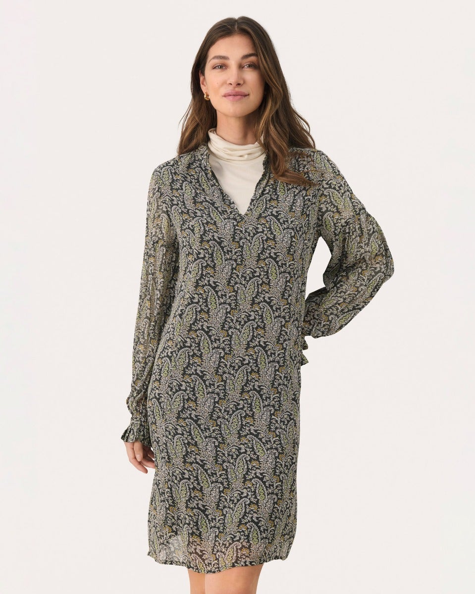 Rosin Paisley Print Botella Sheer Dress