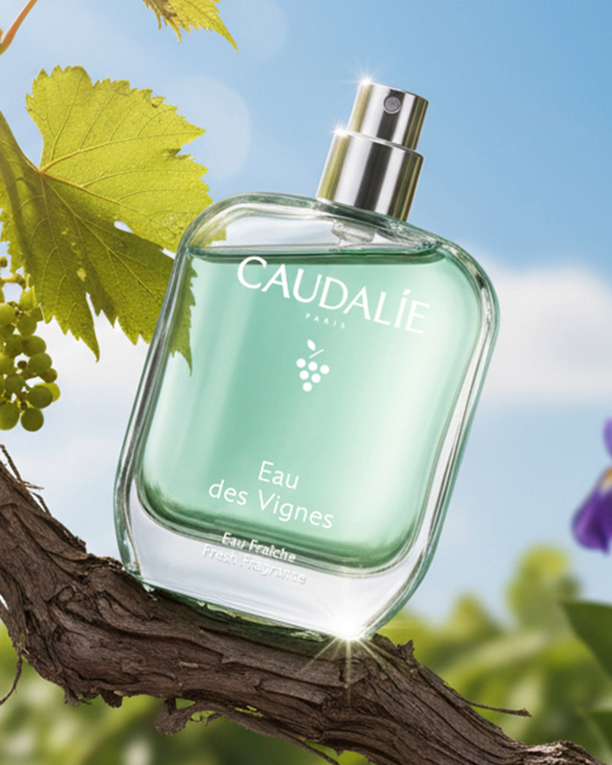 Eau des Vignes Eau Fraîche Fresh Fragrance