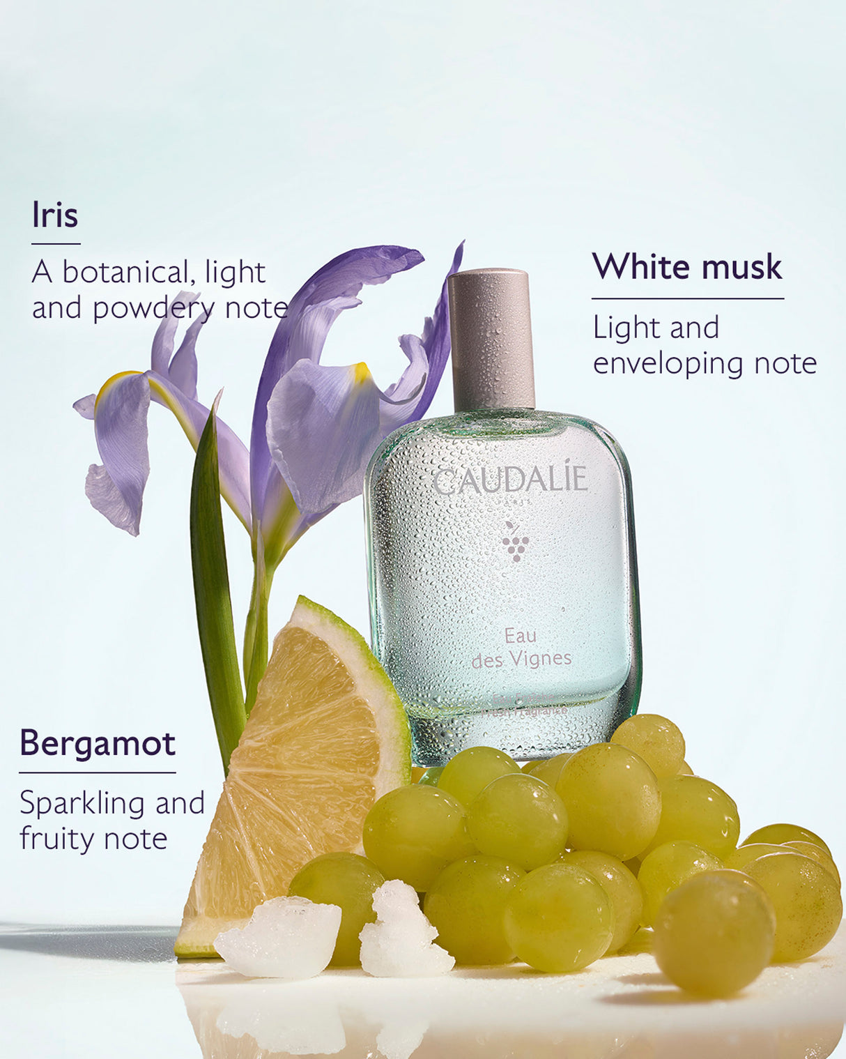 Eau des Vignes Eau Fraîche Fresh Fragrance
