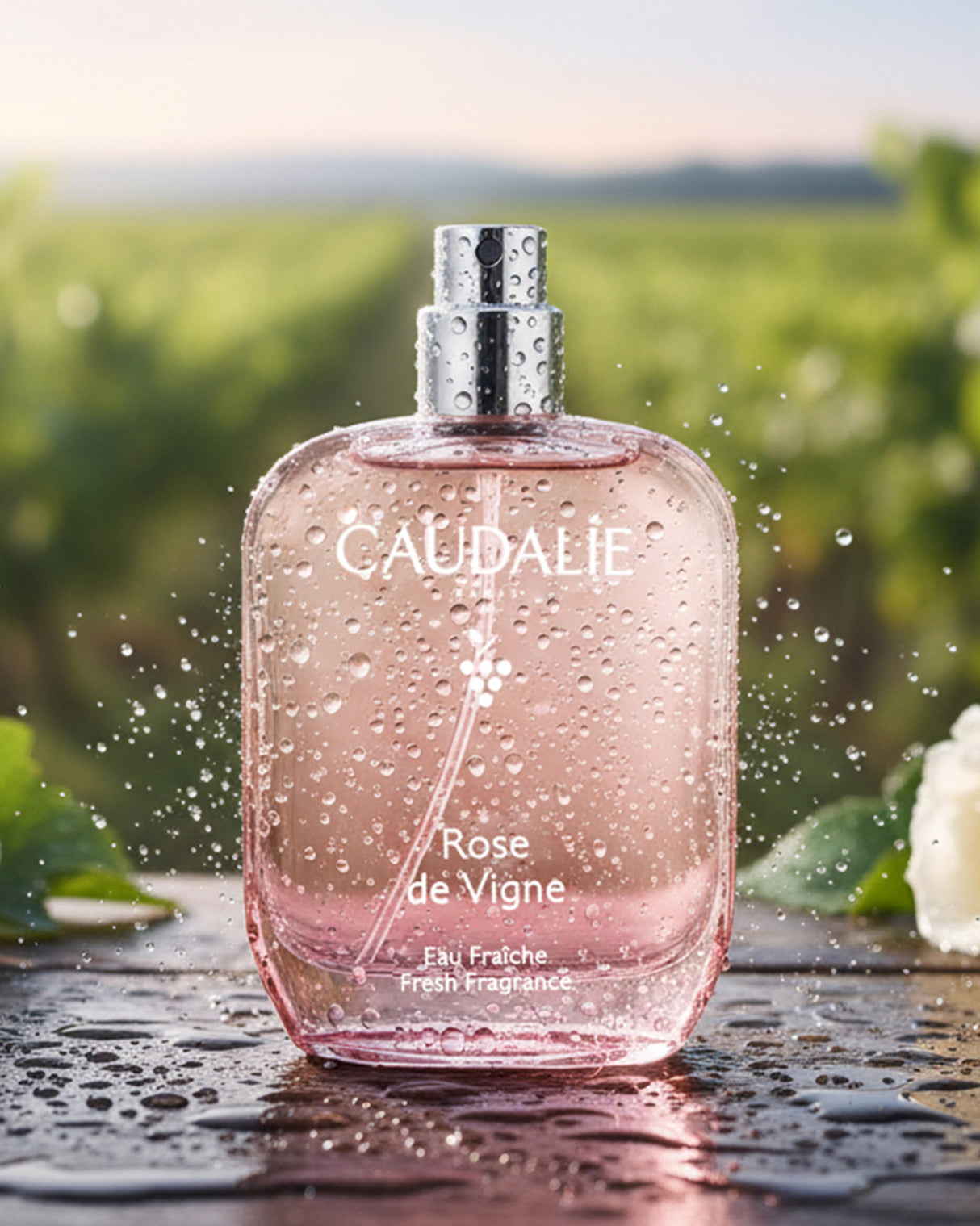 Rose de Vigne Eau Fraîche Fresh Fragrance