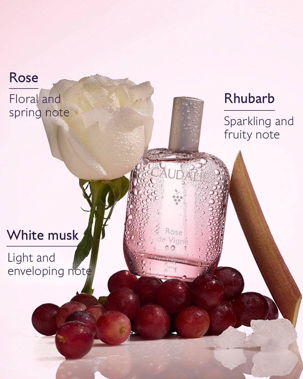 Rose de Vigne Eau Fraîche Fresh Fragrance