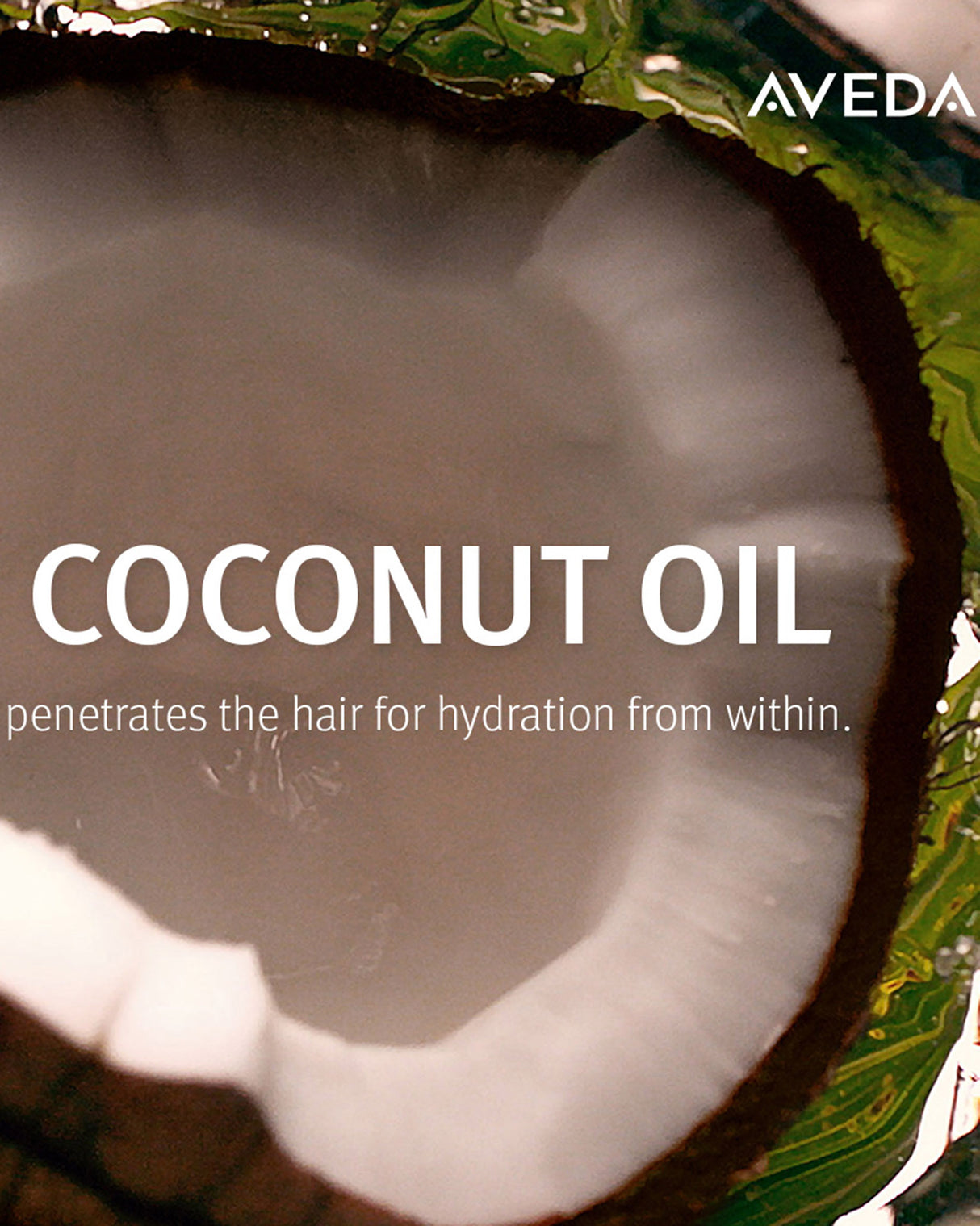 Nutriplenish Vitamin Leave In Conditioner Spray