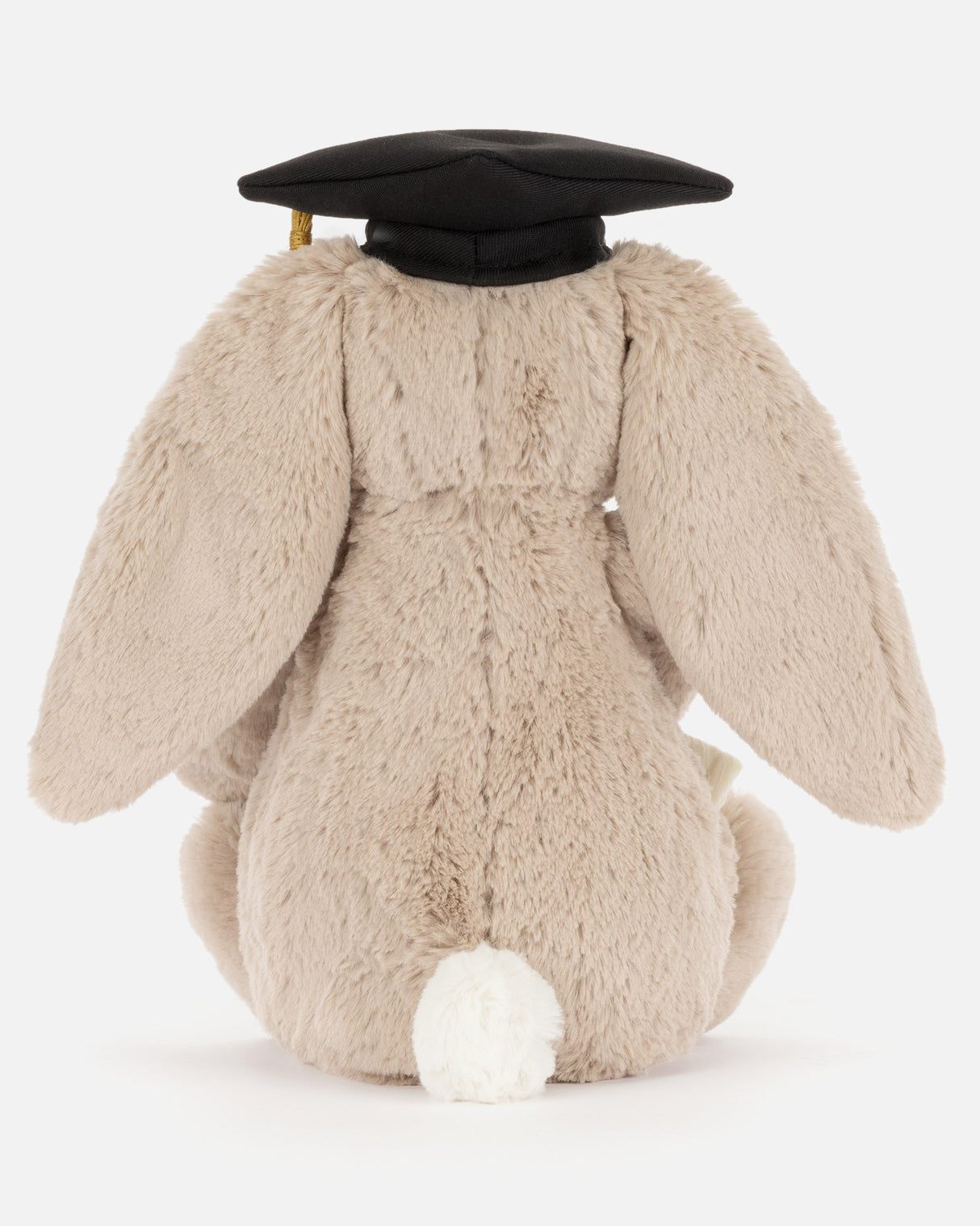 Bashful Bunny Graduation