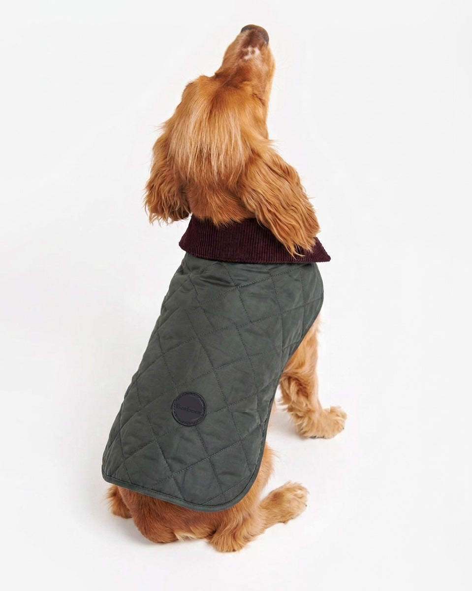 Olive Barbour Quilted Dog Coat