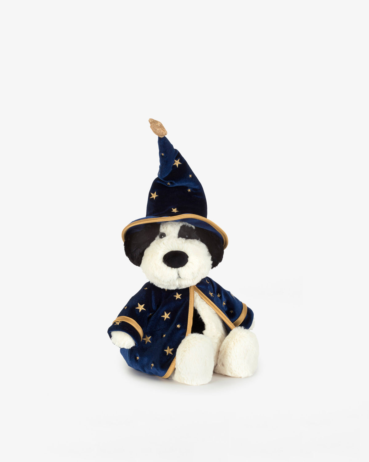Wizard Rufferty Puppy