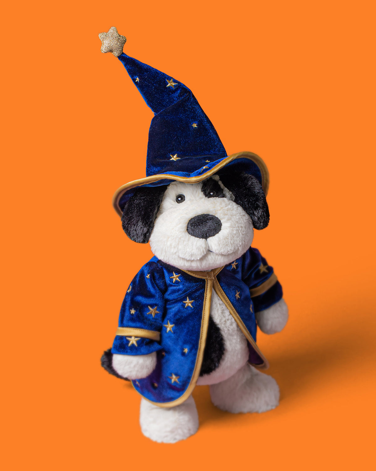 Wizard Rufferty Puppy