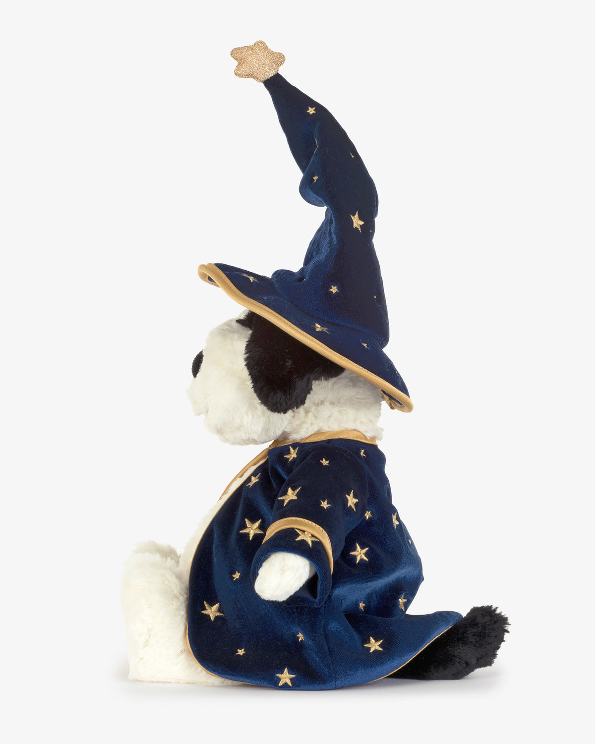 Wizard Rufferty Puppy