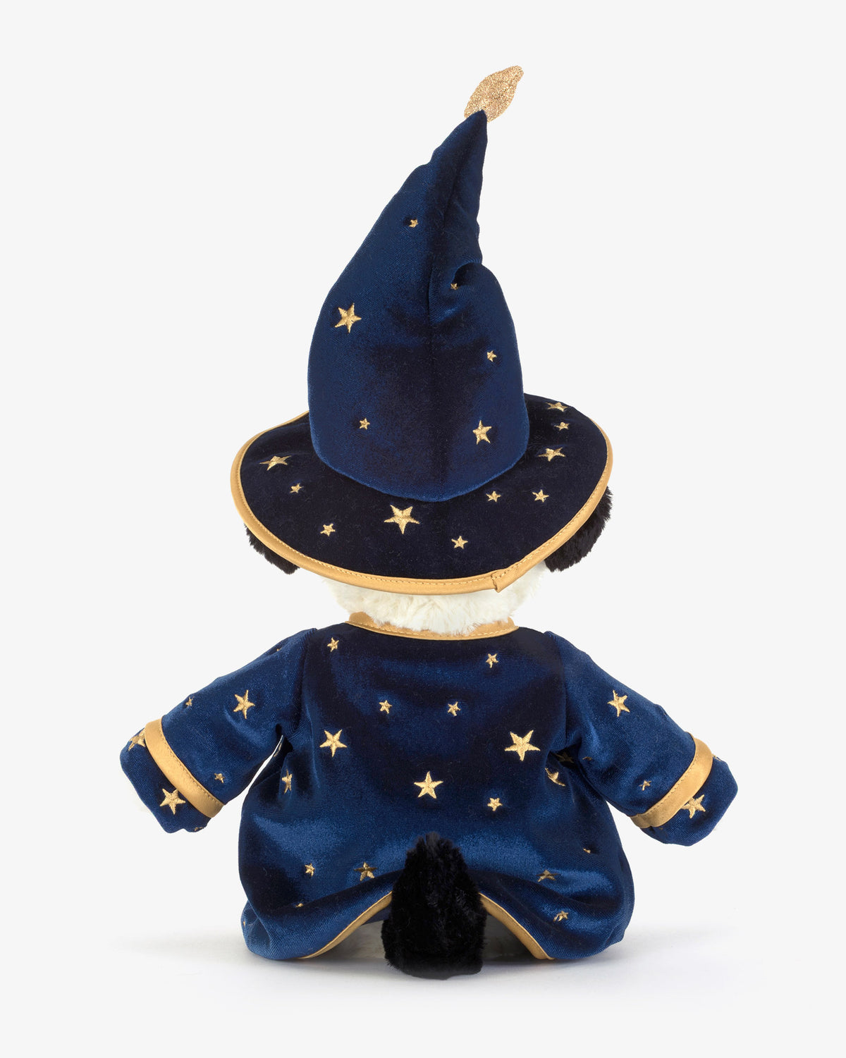 Wizard Rufferty Puppy