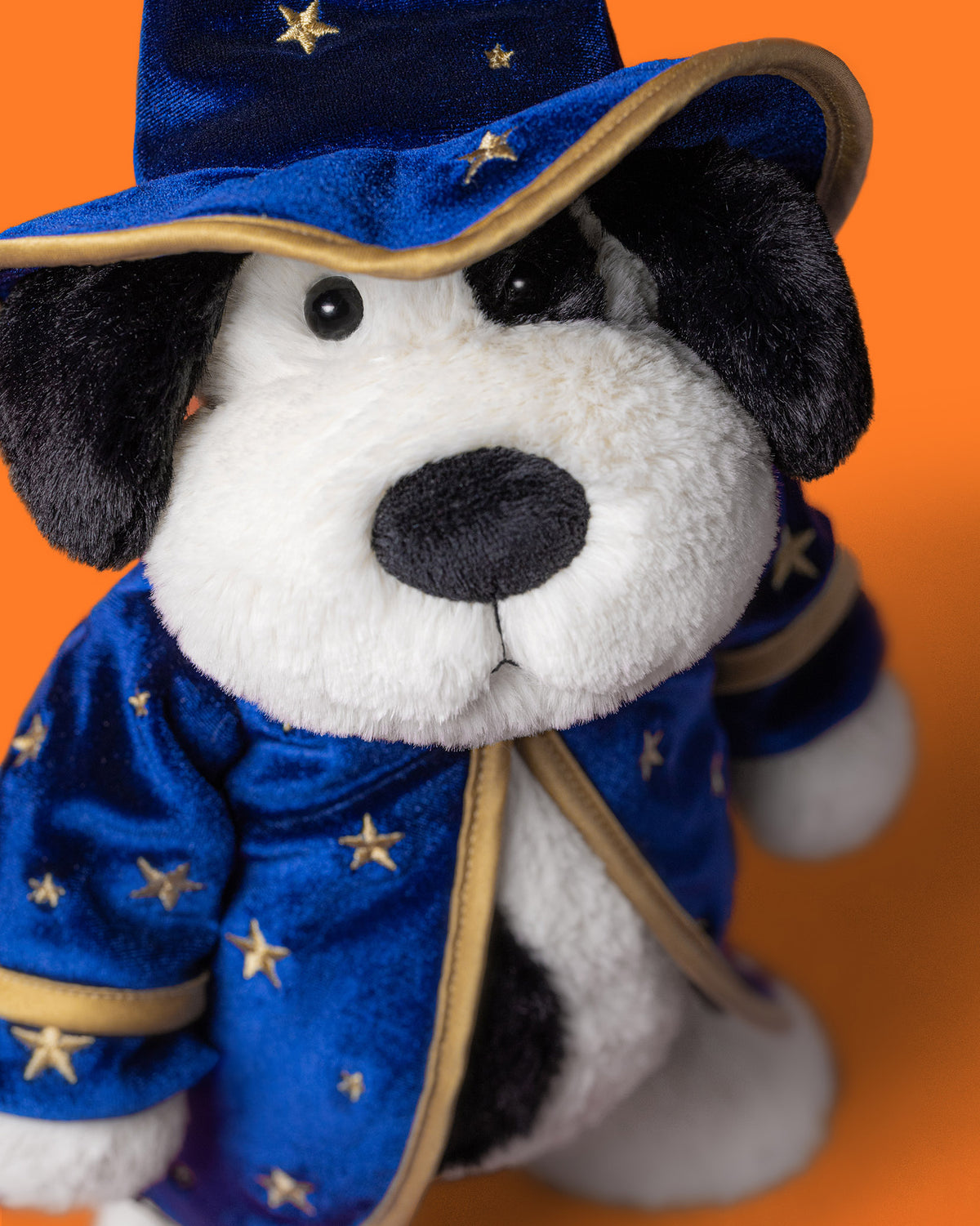 Wizard Rufferty Puppy