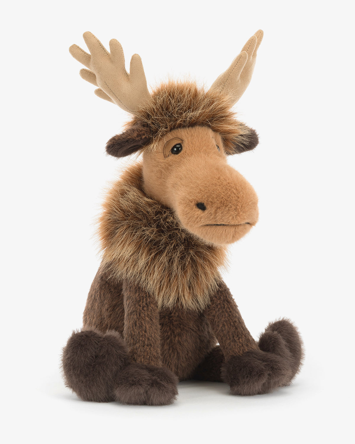 Birchly Moose