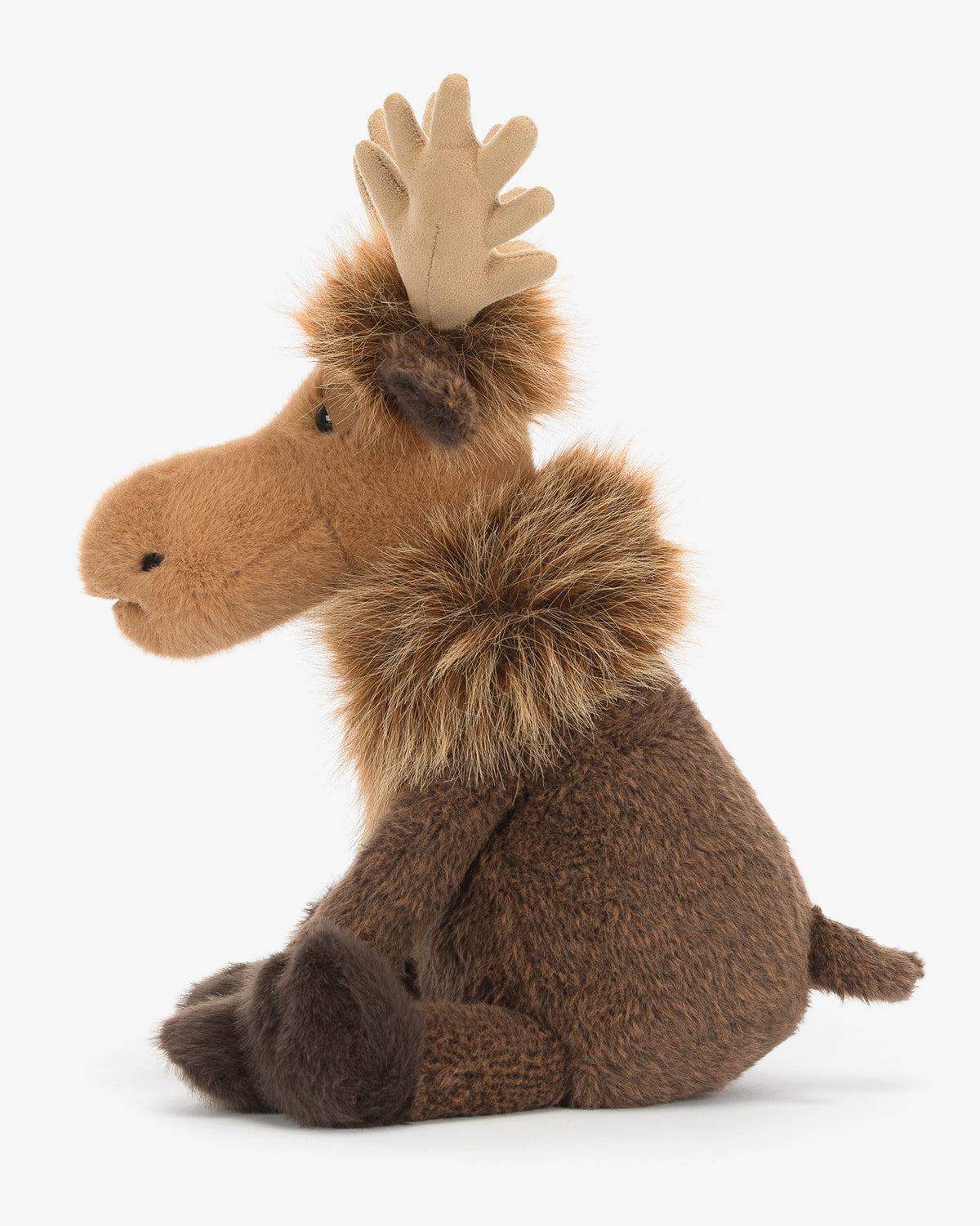 Birchly Moose