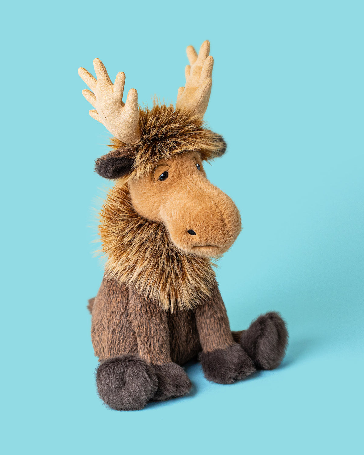 Birchly Moose