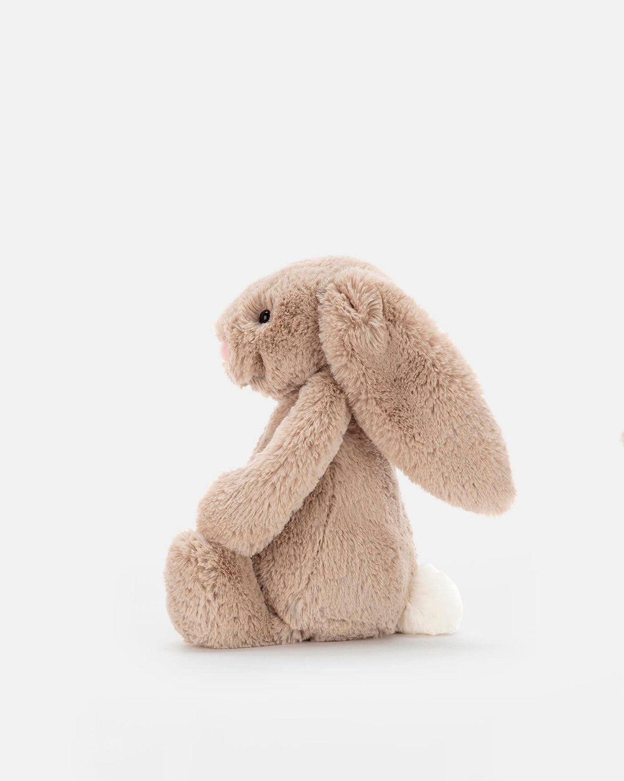 Beige Bashful Bunny
