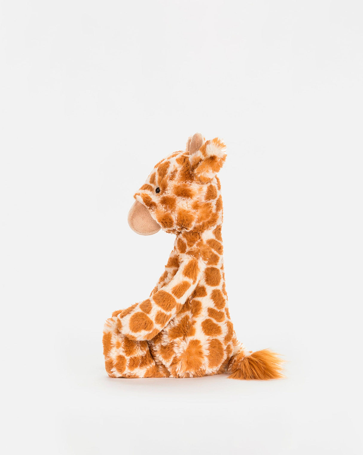 Bashful Giraffe