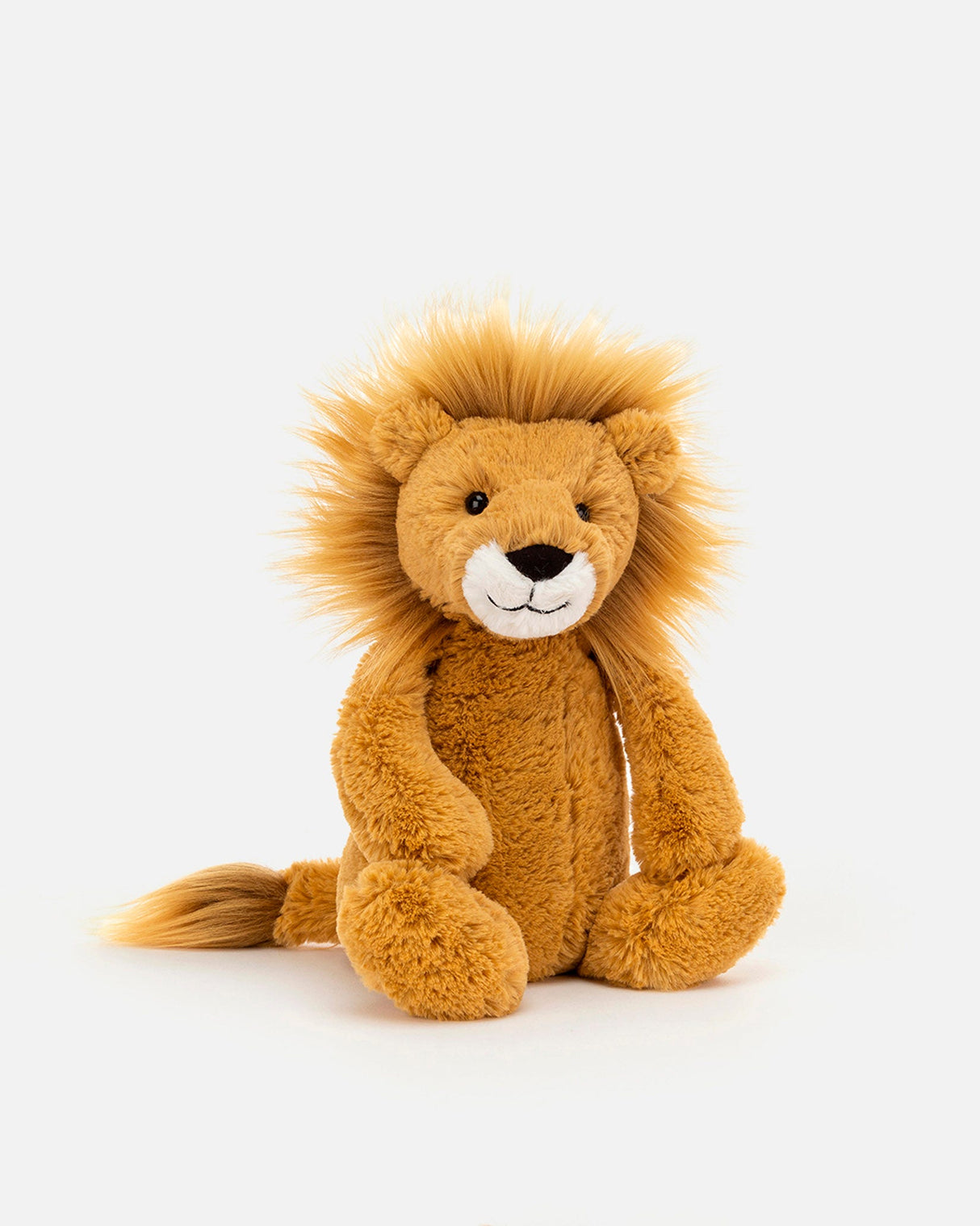 Bashful Lion