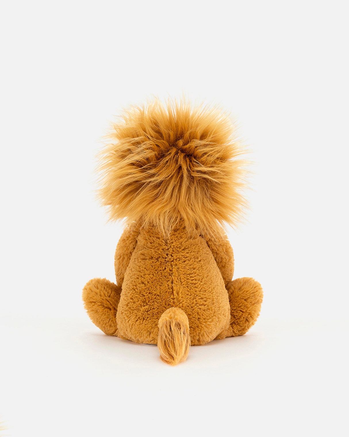 Bashful Lion