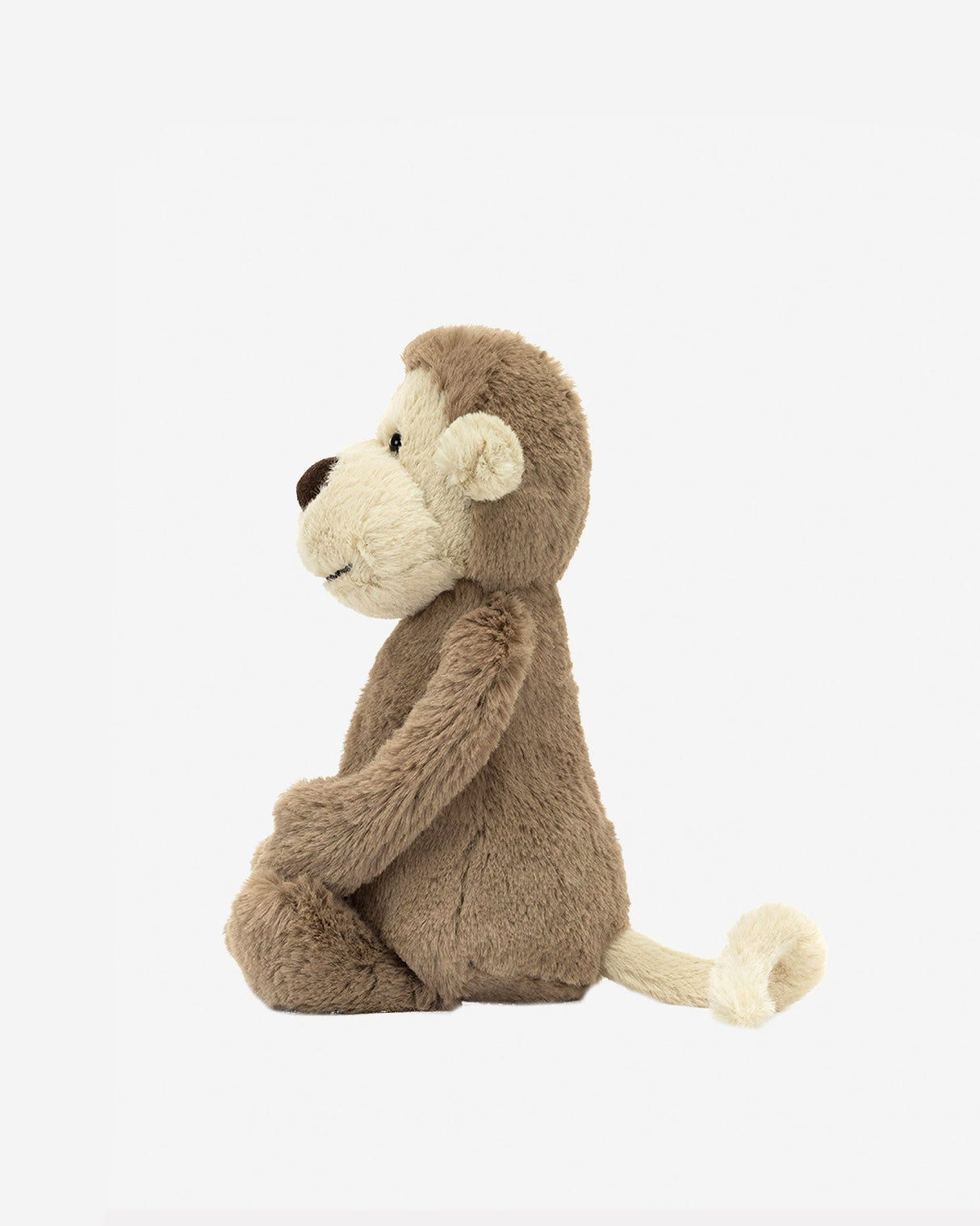 Bashful Monkey