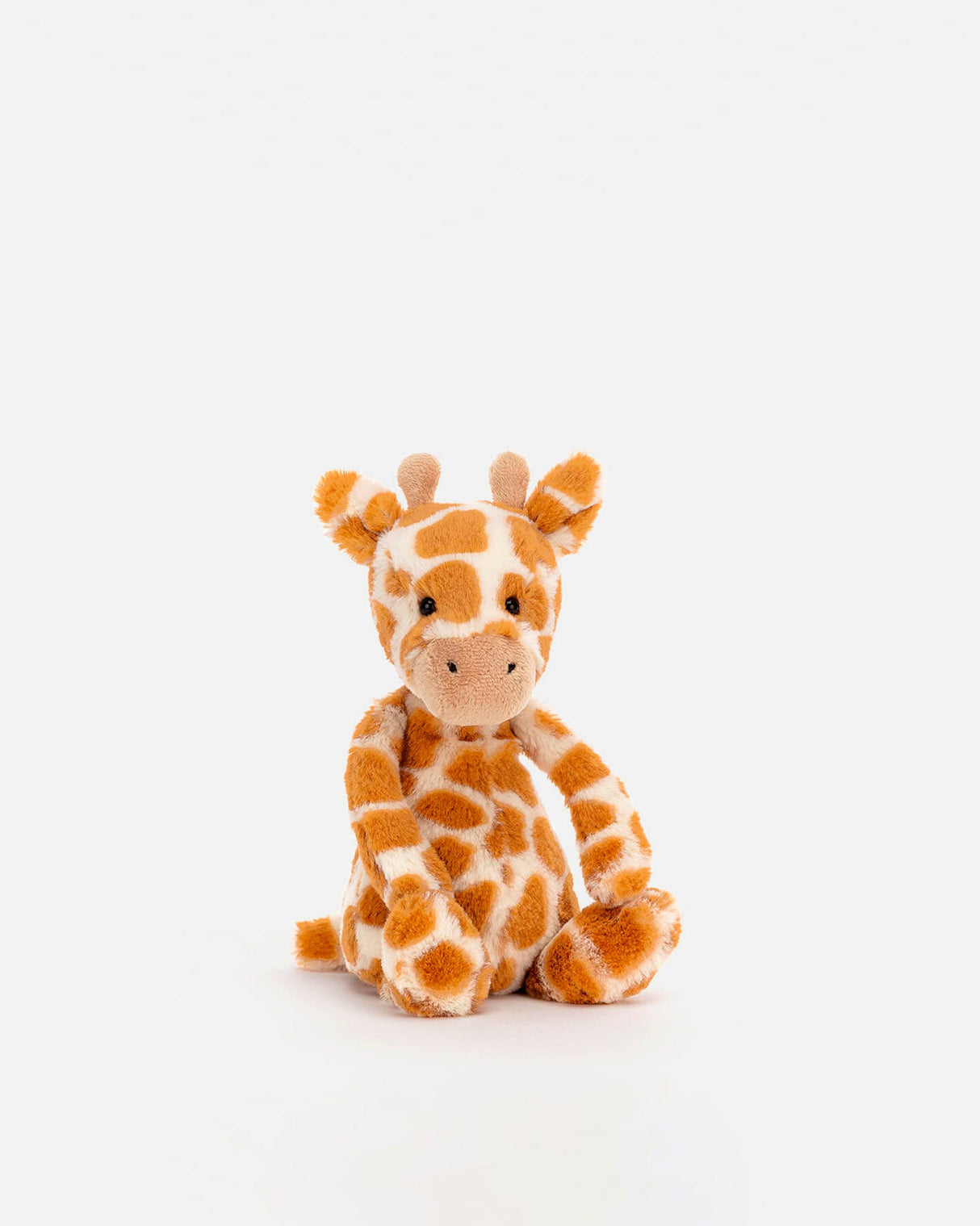 Bashful Giraffe
