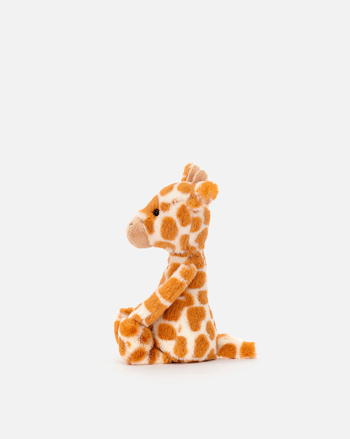 Bashful Giraffe