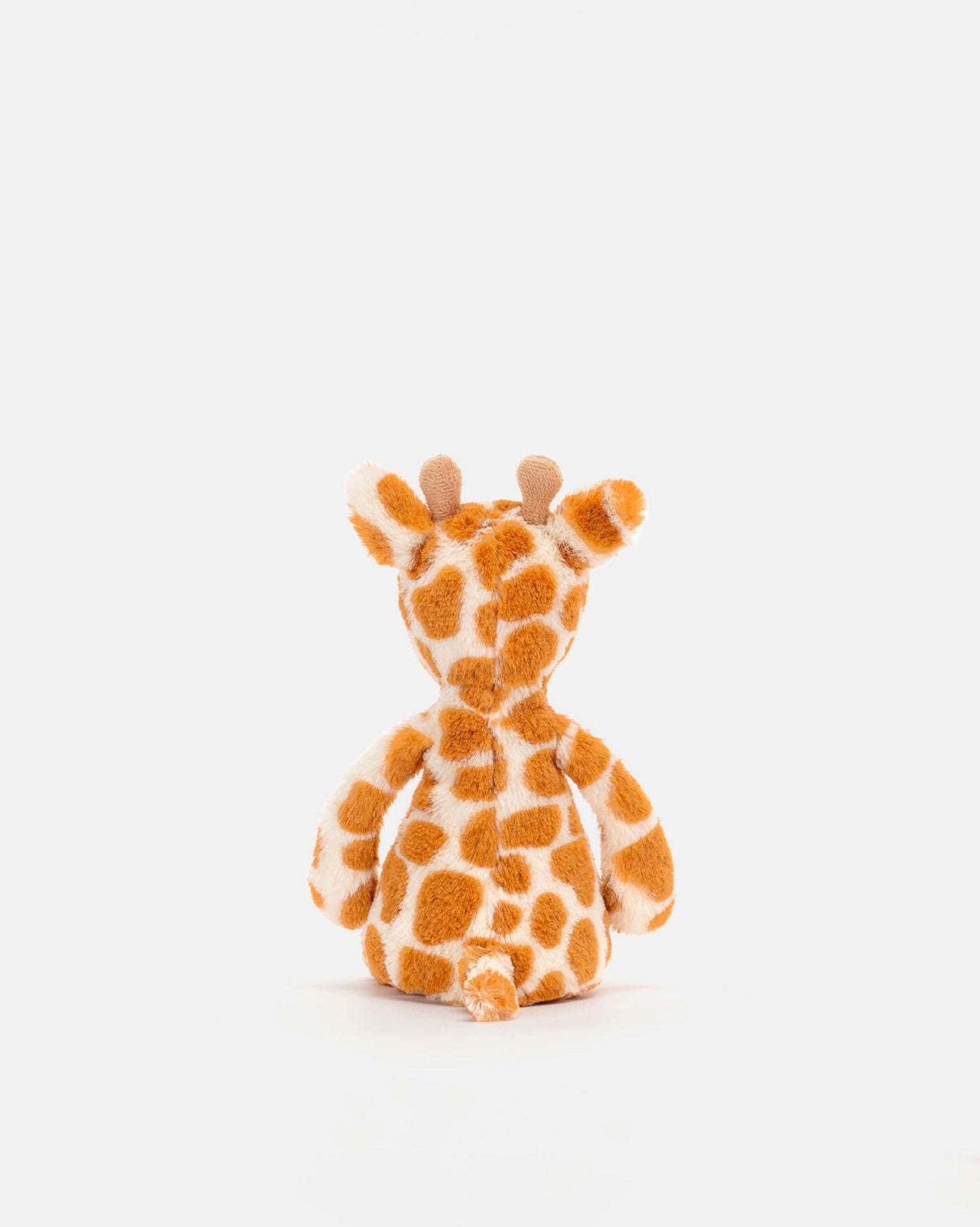 Bashful Giraffe