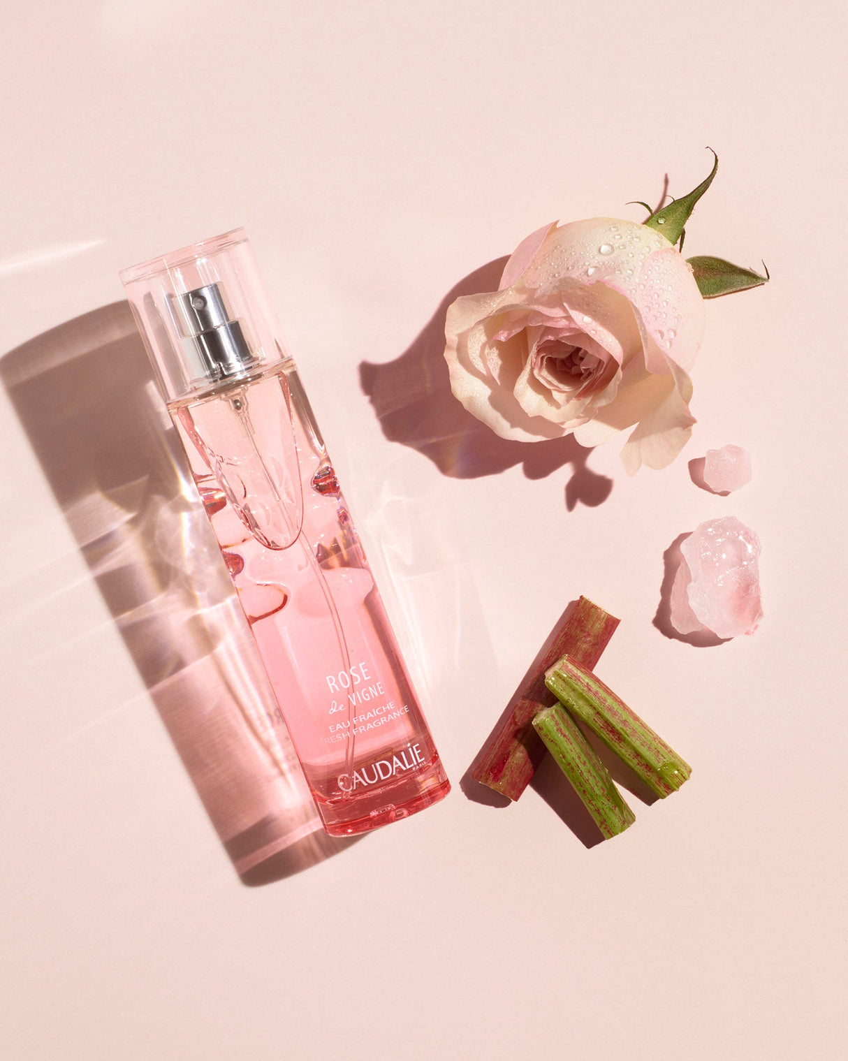 Rose de Vigne Fresh Fragrance