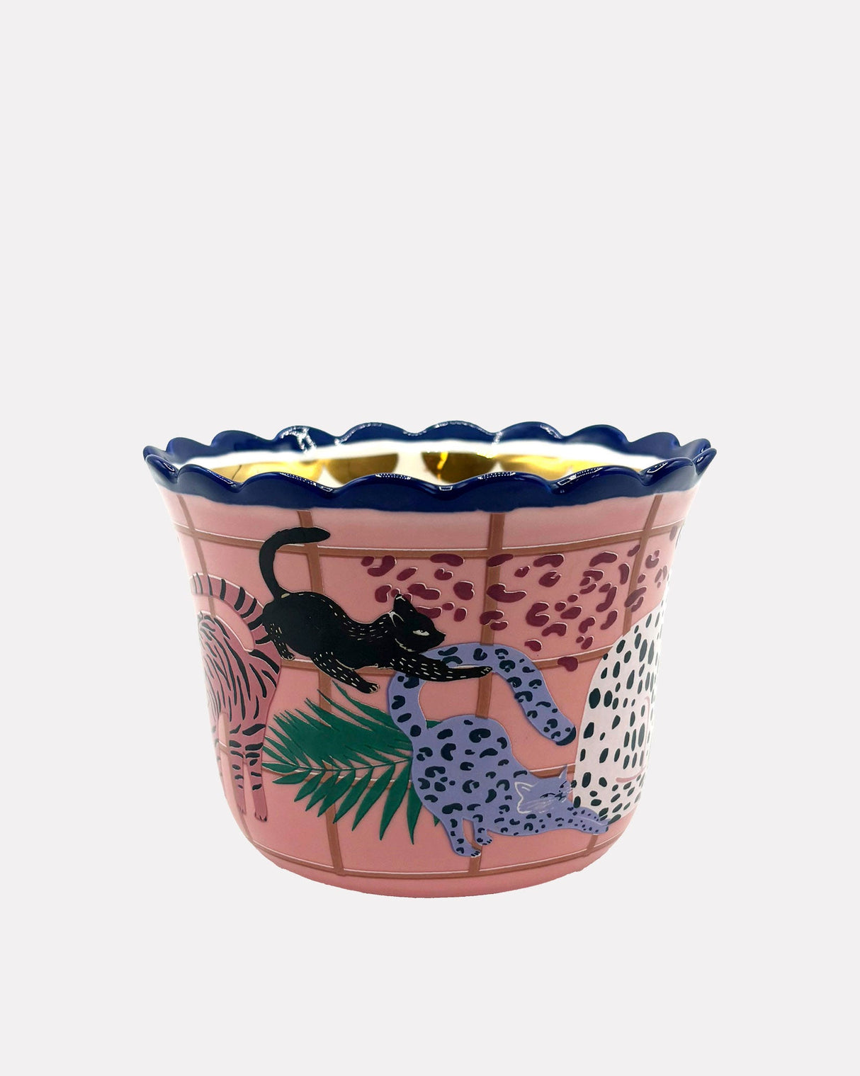 Catnip Cat Cup