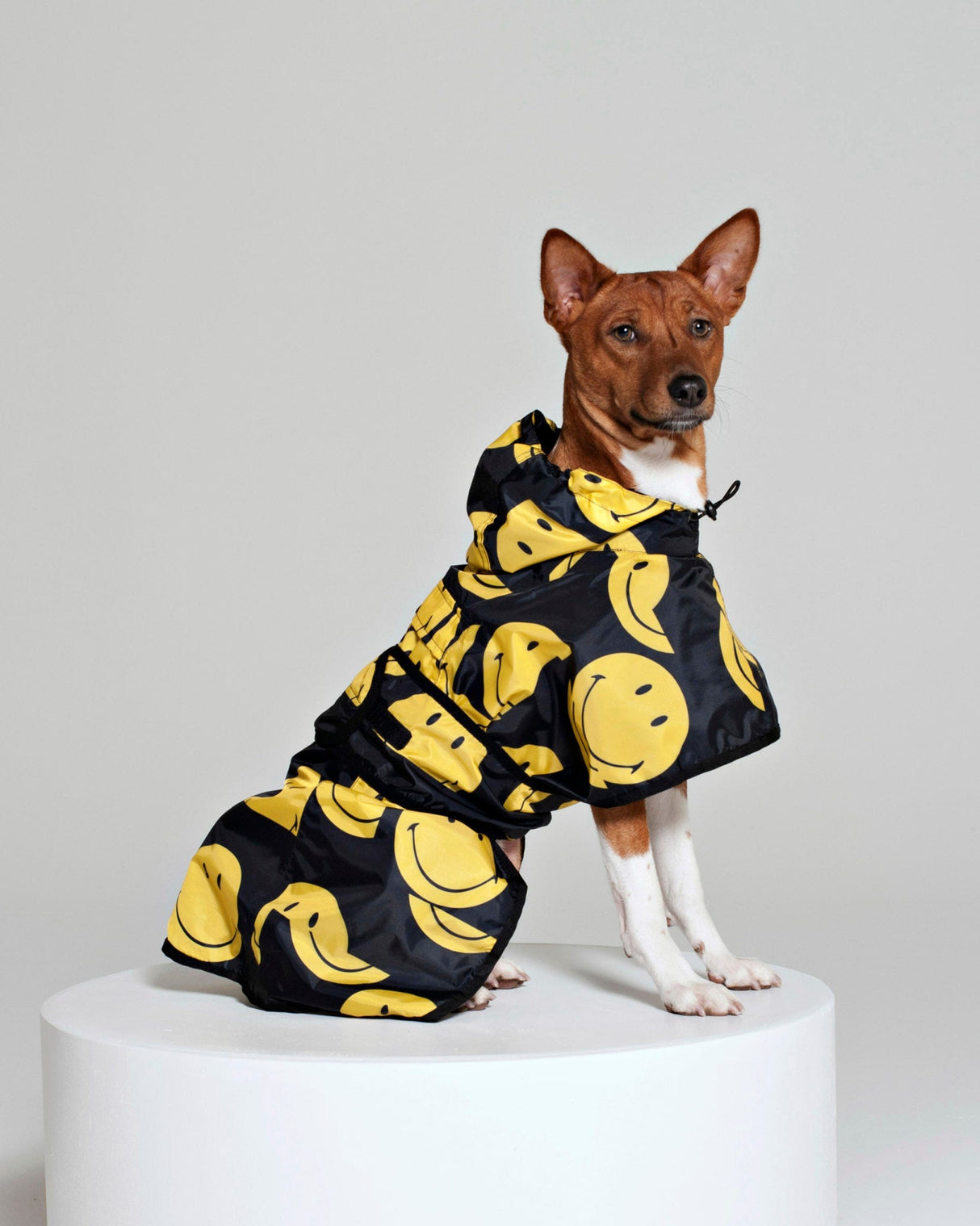 Black-All-Smiles-Dog-Poncho