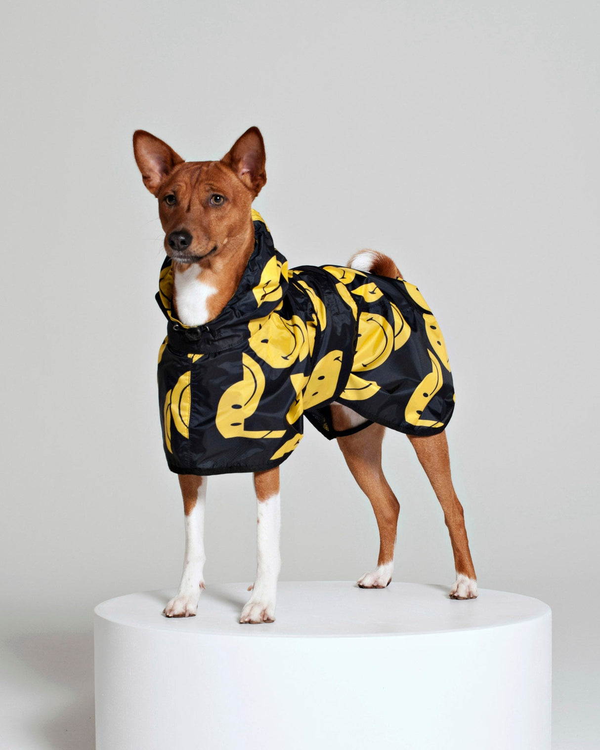 Black-All-Smiles-Dog-Poncho