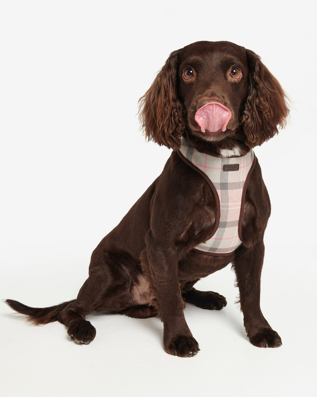 Taupe-Pink-Tartan-Cushioned-Dog-Harness