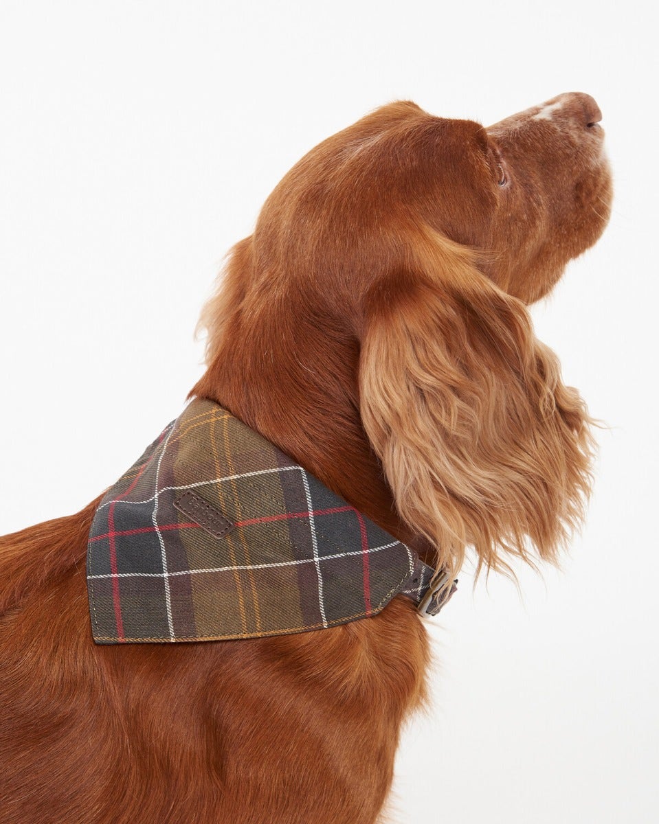 Classic Tartan Barbour Dog Bandana