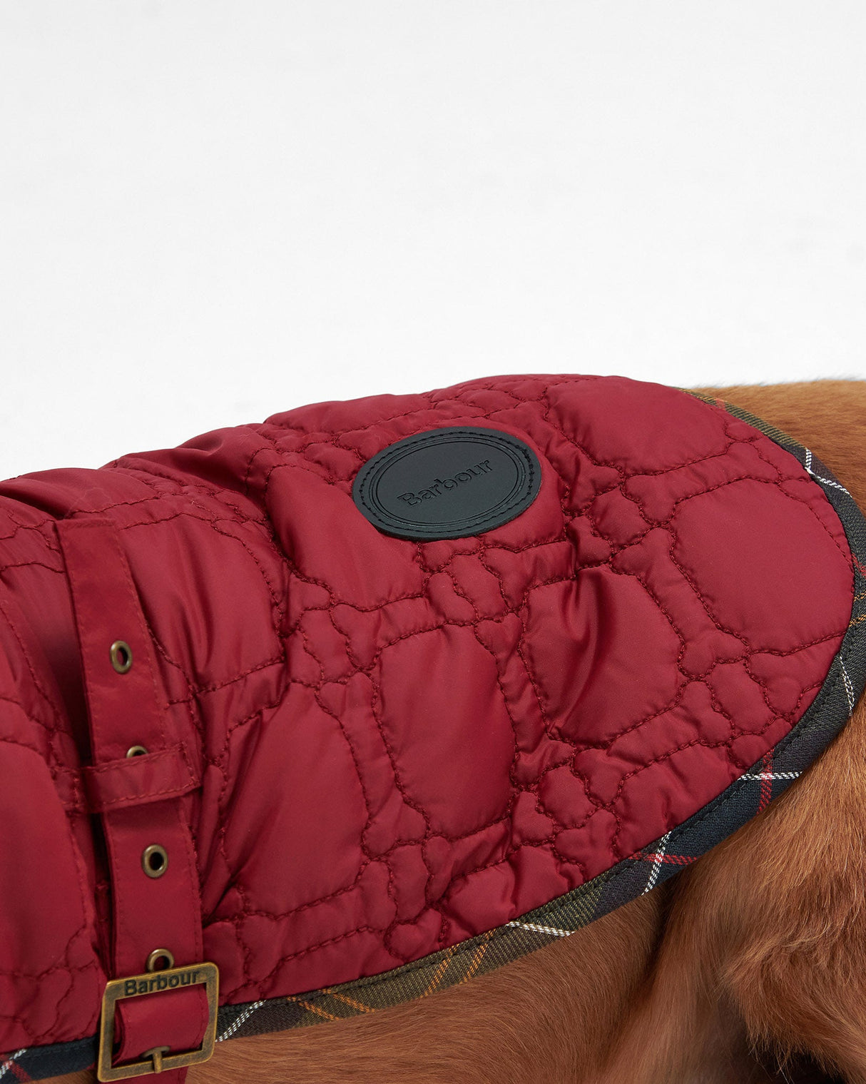 Cranberry Dog Bone Quilted Dog Coat