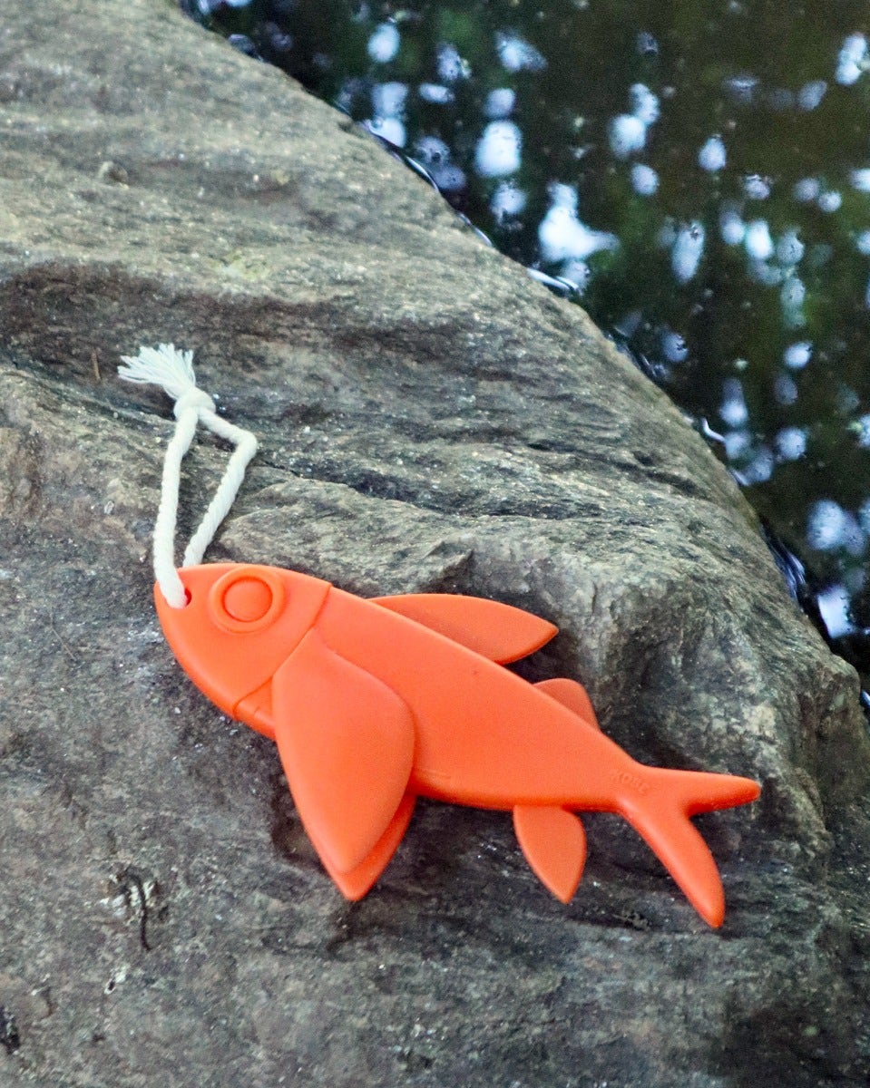 Flying Fish Floating Dog Toy
