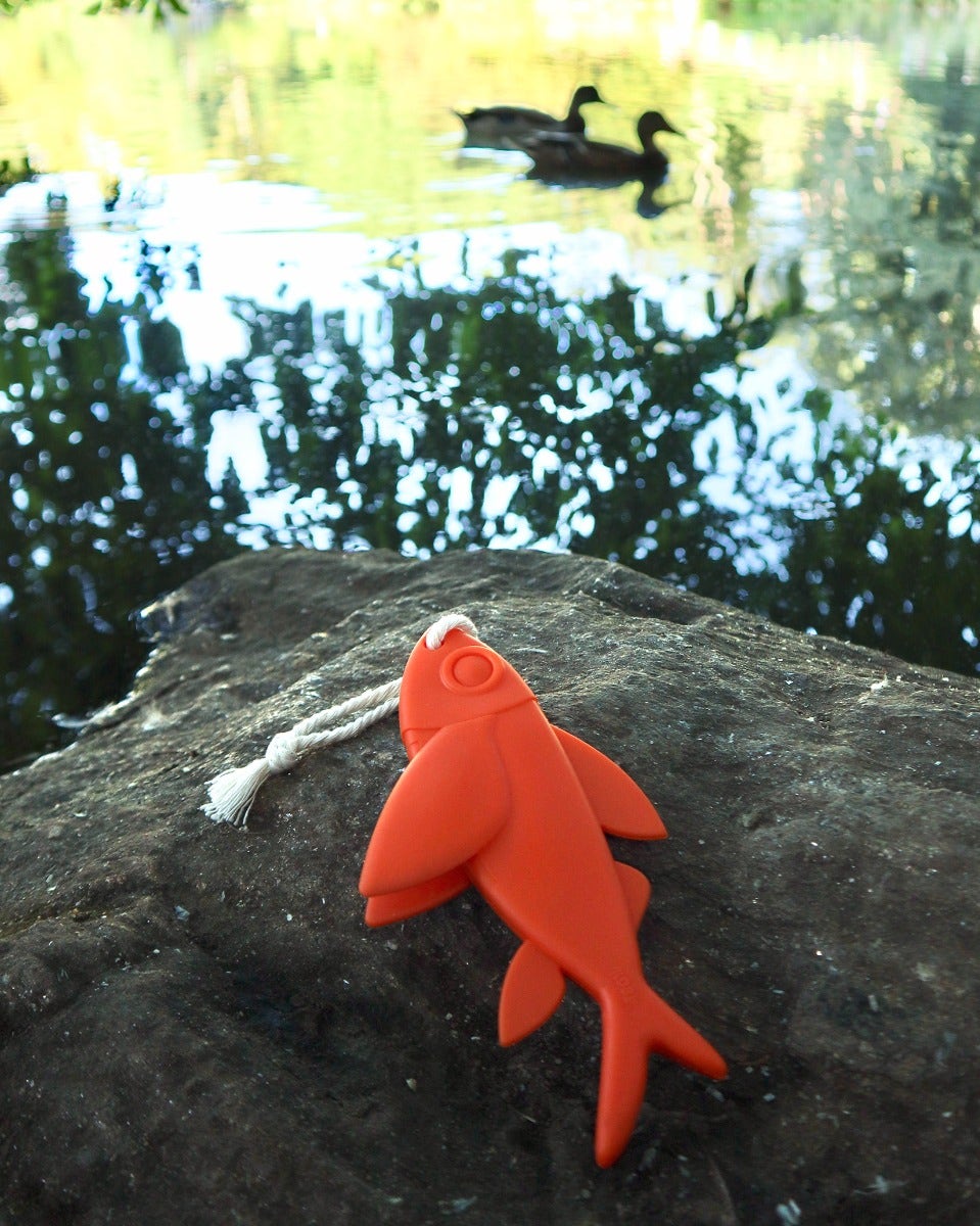 Flying Fish Floating Dog Toy
