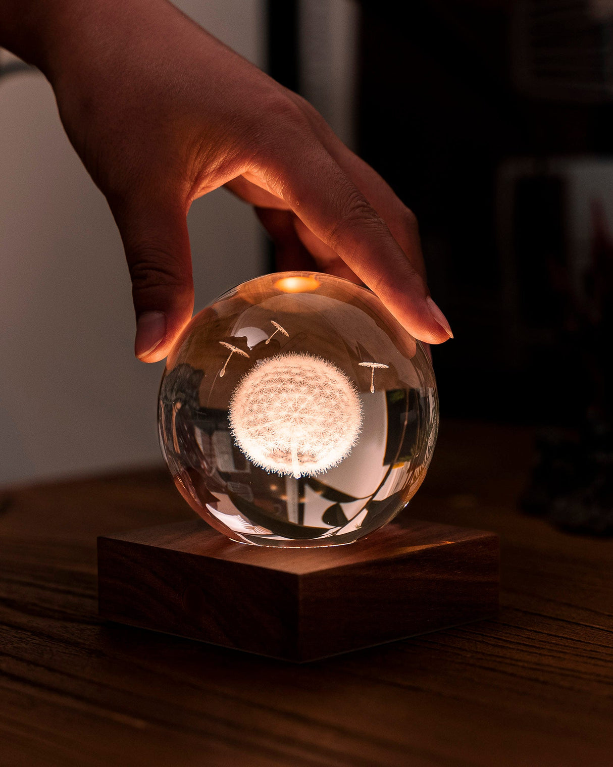 3D Dandellion Amber Crystal Ball Light