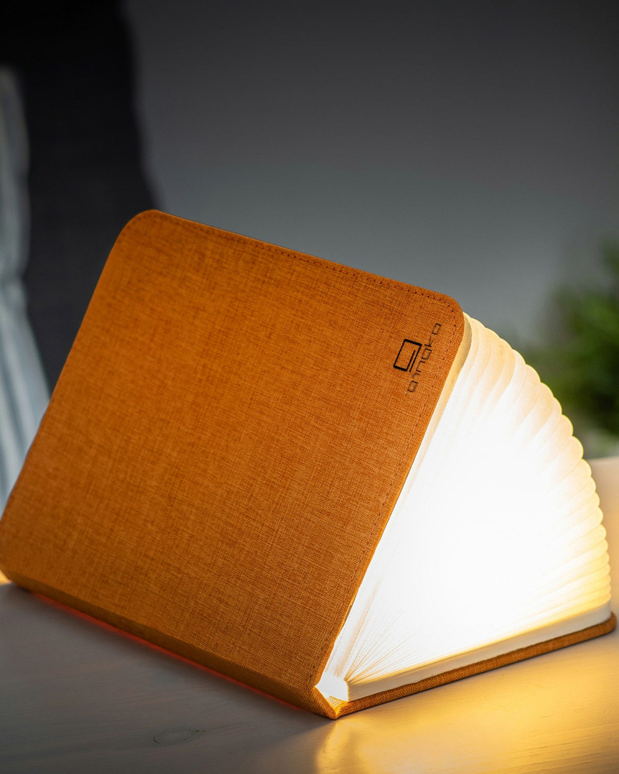 Orange Fabric Smart Book Light