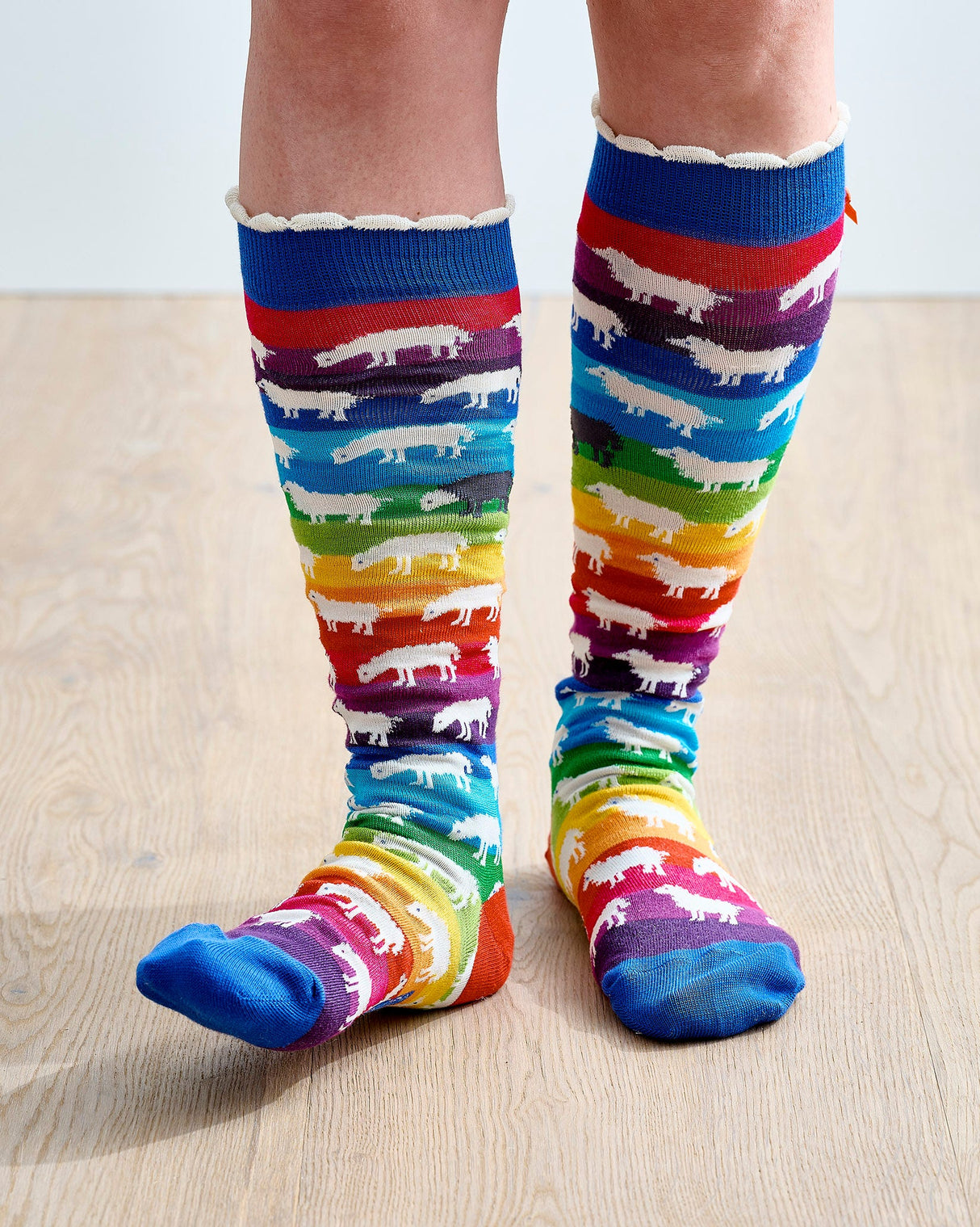 Rainbow Sheep Knee Socks