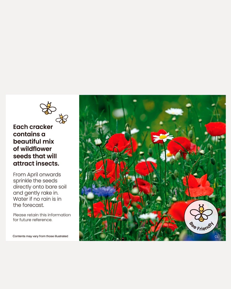 Forest Friends Wildflower Seeds Handmade Christmas Crackers