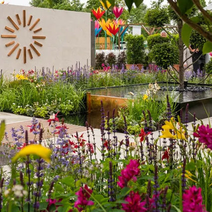 Avoca at Bloom: Celebrating 300 Years