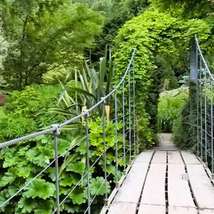 Become A Member at Mount Usher Gardens