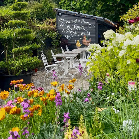 New Avoca Garden Centre at Mount Usher Gardens