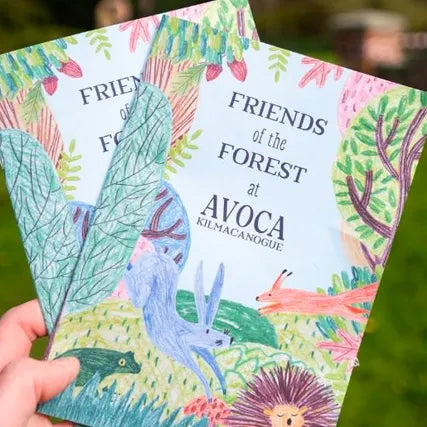 'Friends Of The Forest' Trail At Avoca Kilmacanogue