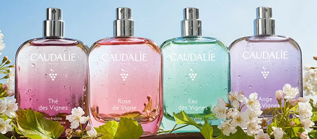 Beauty Fragrance