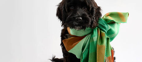 Gifts for Pets