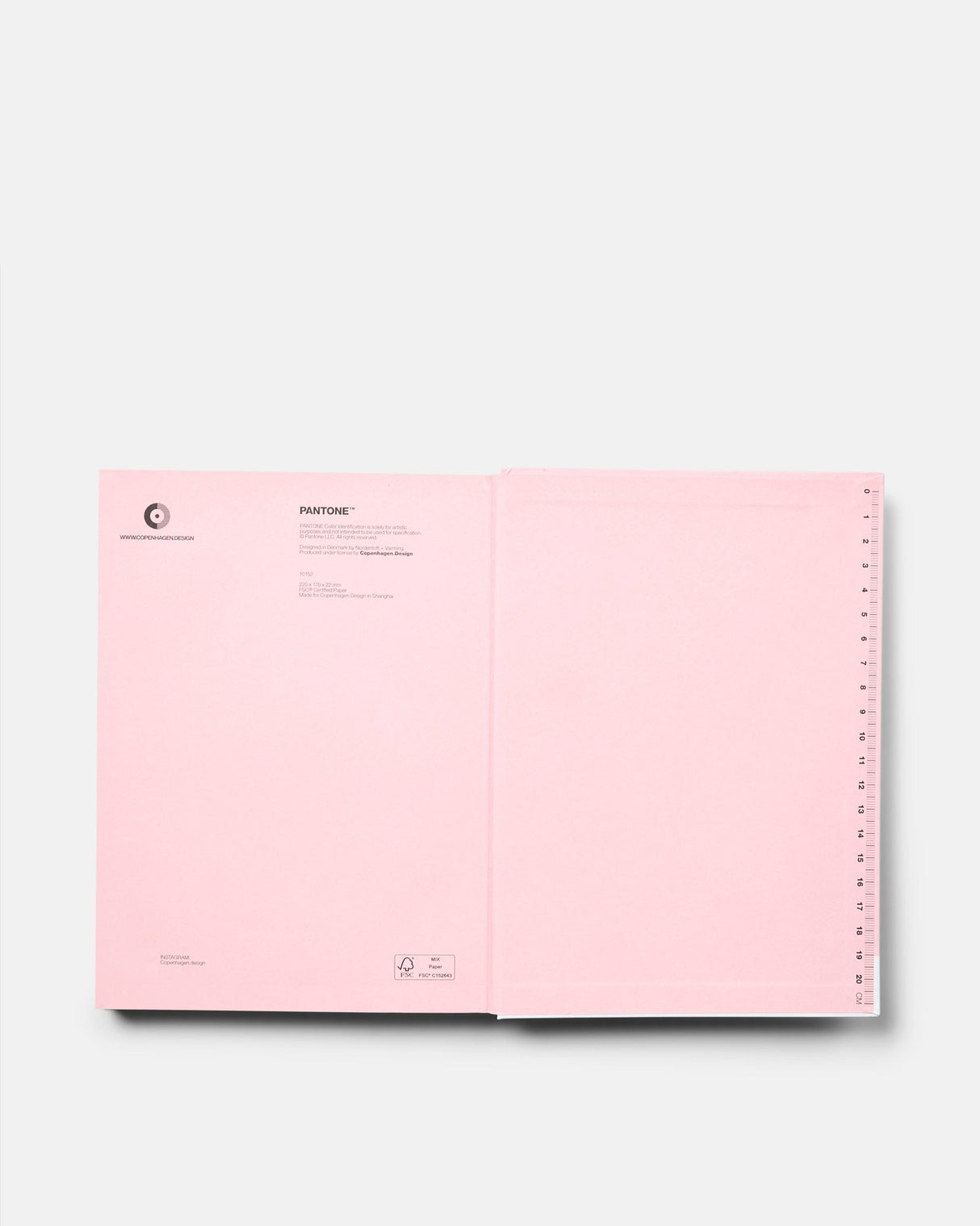 Light-Pink-13-2006-Large-Dotted-Notebook