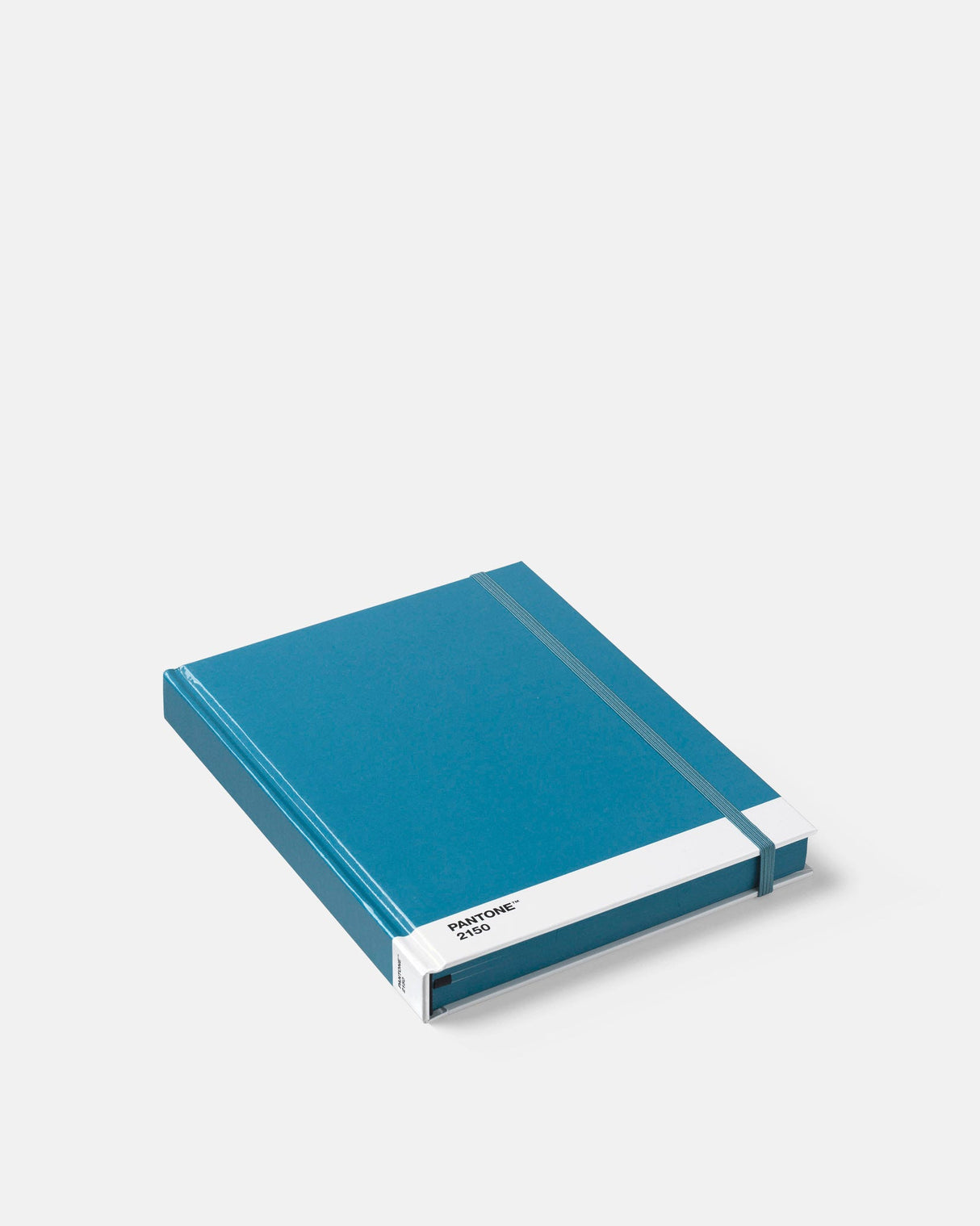 Blue-2150-C-Large-Dotted-Notebook