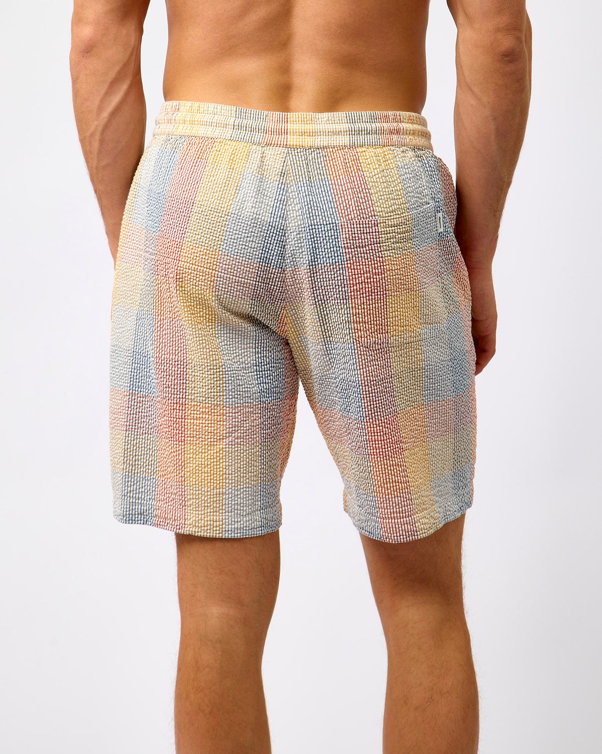 Multicolour Check Fig Seersucker Shorts